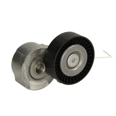 Afbeelding van Skf Spanrol (poly) V riem VKM 36242