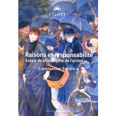 Afbeelding van RAISONS ET RESPONSABILITE