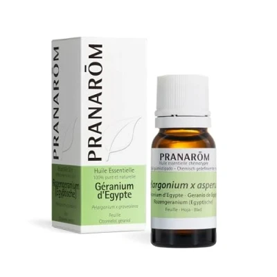Afbeelding van Pranarôm Etherische Olie Egyptische Geranium (Pelargonium x Asperum) 10 ml