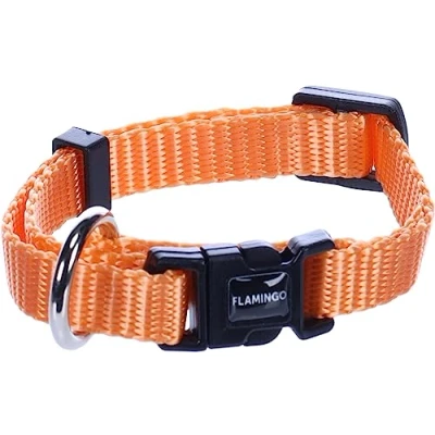 Afbeelding van Hond Halsband Ziggi Oranje XXS 15 25cm 10mm