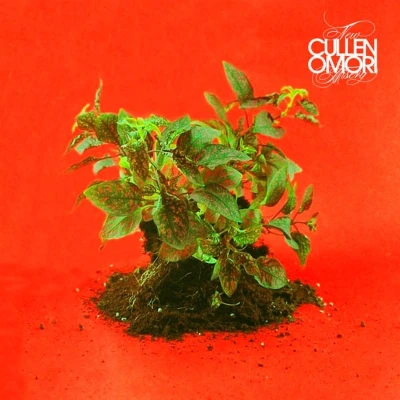 Afbeelding van Cullen Omori New Misery (CD)