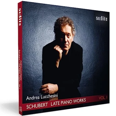 Afbeelding van Andrea Lucchesini Late Piano Works (CD)
