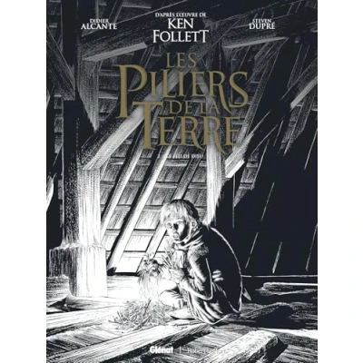 Afbeelding van LES PILIERS DE LA TERRE,02:LE FEU DIEU (ED.N B)