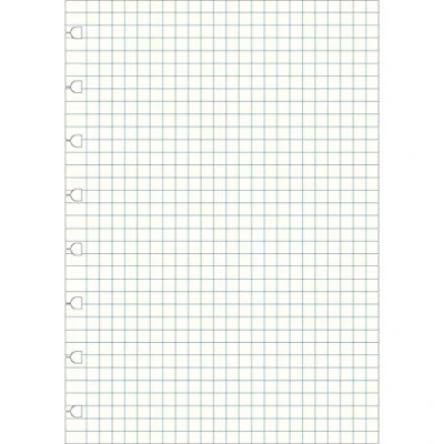 Afbeelding van Filofax Notitieboek Navulling Geruit A5 Papier Wit 60 Stuks