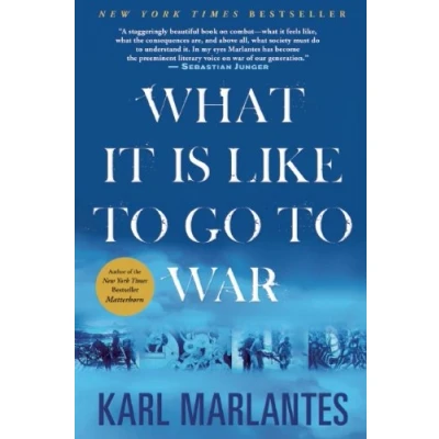 Afbeelding van What It Is Like To Go War