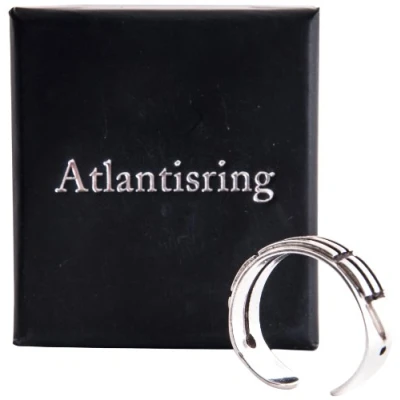 Afbeelding van Berk R 001 Atlantisring Symbolische ring voor heren in zilver