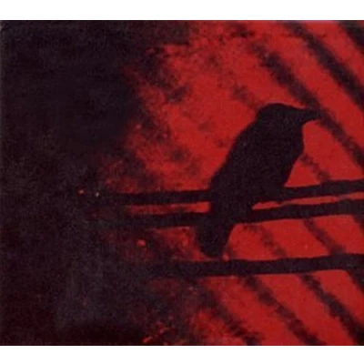 Afbeelding van Silver Mt. Zion Born Into Trouble As The Sparks Fly Upward (CD)