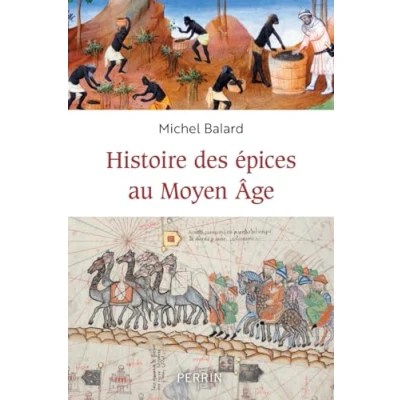 Afbeelding van Histoire des épices au Moyen âge