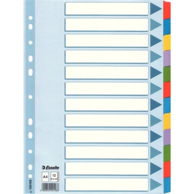 Image de esselte 100169 intercalaires touches neutres en mylar a4 12 group