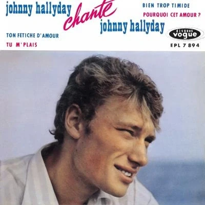 Afbeelding van Johnny Hallyday Chante