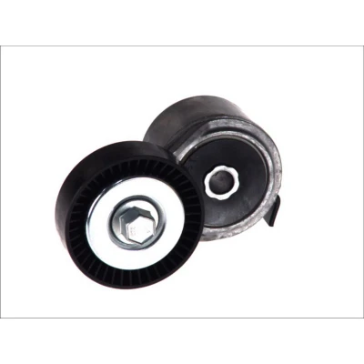 Afbeelding van Riemspanner, Poly V riem DAYCO APV2490