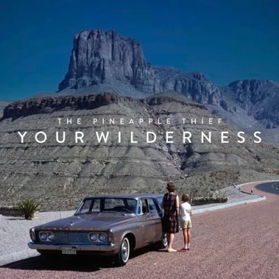 Afbeelding van Pineapple Thief Your Wilderness