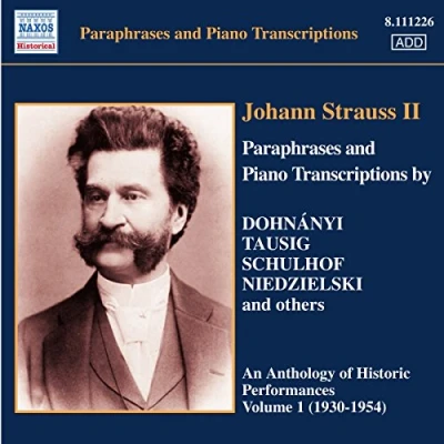Afbeelding van Various Artists Piano Transcriptions (CD)