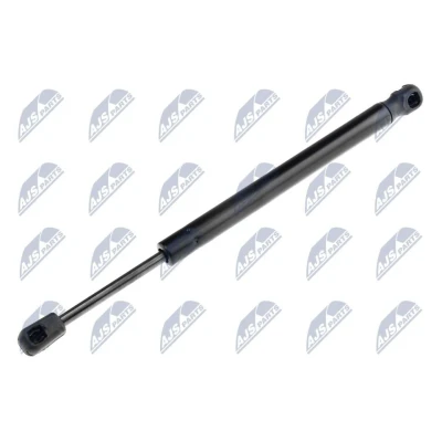 Afbeelding van NTY AE CT 015 Gasveer achterklep 495 314 CITROËN: C4 I Hatchback