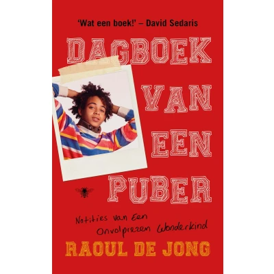 Afbeelding van Dagboek van een puber