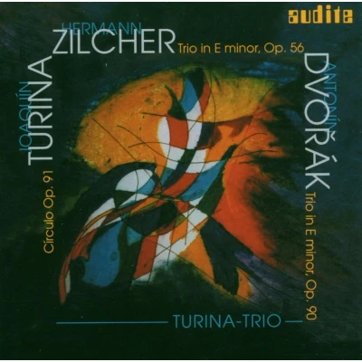 Afbeelding van Turina Trio Piano Trios (CD)
