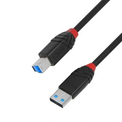 Image de Lindy Câble USB Type A (M) pour B 3.1 Gen1 10 m rond actif noir