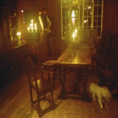 Afbeelding van Waveform Last Room (LP)
