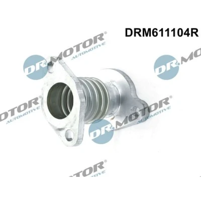 Afbeelding van DR.MOTOR AUTOMOTIVE DRM611104R Leiding, AGR klep