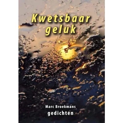Afbeelding van Kwetsbaar geluk