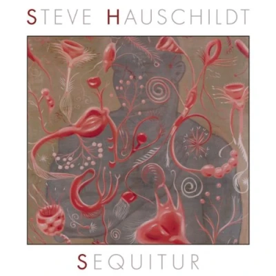 Afbeelding van Steve Hauschildt Sequitur (CD)