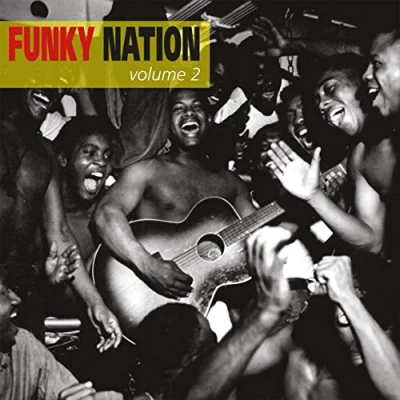 Afbeelding van Various Artists Funky Nation Vol 2 (LP)