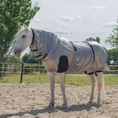 Afbeelding van Harry&#039;s Horse Eczeem/Vliegendeken UV 135/185