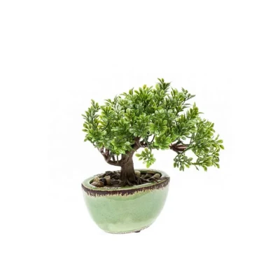 Afbeelding van Bonsai 2 Driesprong Collection