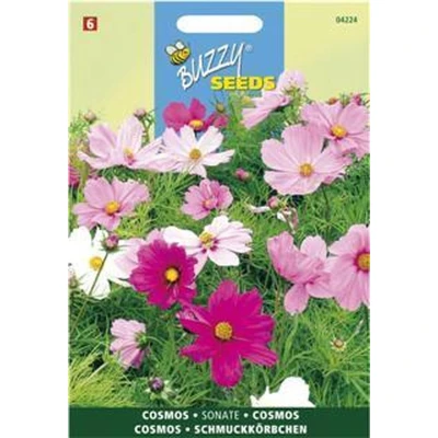 Afbeelding van Cosmea Sonate Gemengd Buzzy