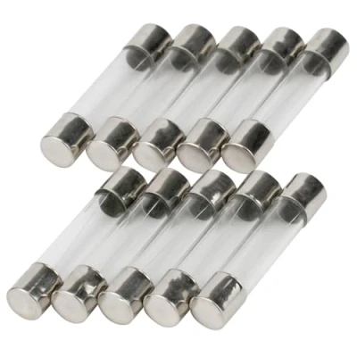 Afbeelding van SeKi Flink 2A 6x30mm 250V glazen zekeringen 10 stuks