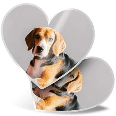 Afbeelding van Set van 2 hartvormige stickers 15 cm schattig Beagle hondenportret voor laptops, tablets, bagage, scrapbooking, koelkasten #44756
