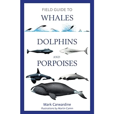 Afbeelding van Bloomsbury Naturalist Field Guide to Whales, Dolphins and Porpoises