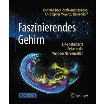 Afbeelding van Faszinierendes Gehirn