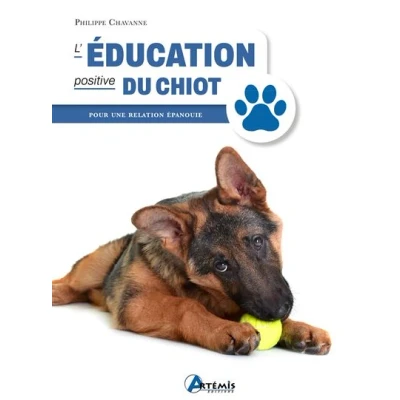Image de L&#039;éducation positive du chiot
