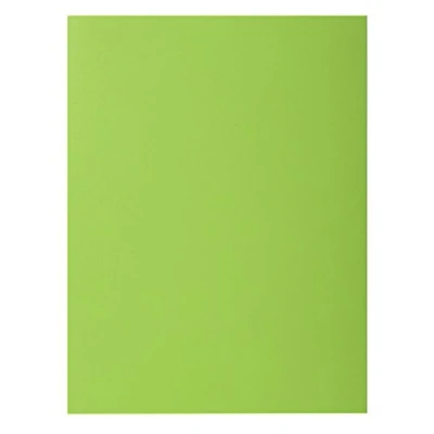 Afbeelding van Exacompta Art. Nr. 216013E 50 stuks vaste snelhechtmappen met 2 ROCK&quot;S kleppen 210 g/m² krachtige kleuren PEFC gecertificeerde mappen afmetingen 24 x 32 cm voor A4 documenten Kleur: groen