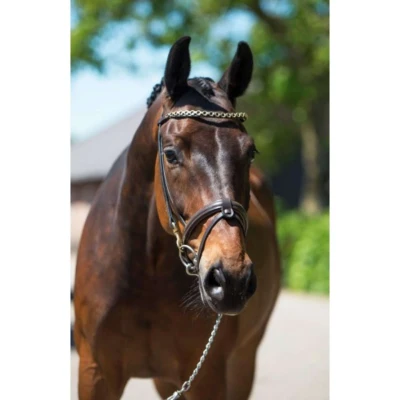 Afbeelding van HB Showtime Hoofdstel Fleur Bruin One Size