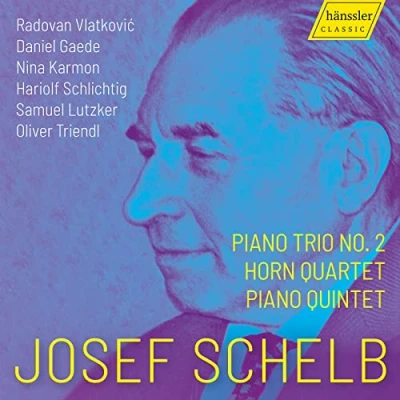 Afbeelding van Oliver Triendl, Nina Karmon Piano Trio No. 2 Horn Quartet Quintet (CD)