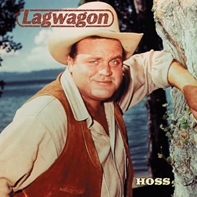 Afbeelding van Lagwagon Hoss (2 LPs)