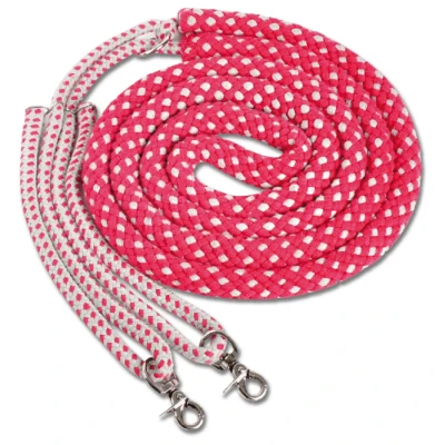 Afbeelding van Lunging Aid