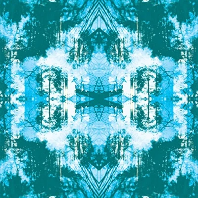 Afbeelding van Tusks Dissolve (CD)