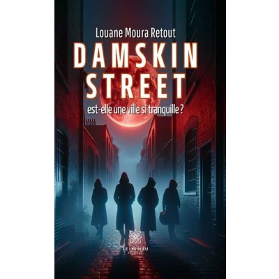 Image de Damskim street est elle une ville si tranquille?