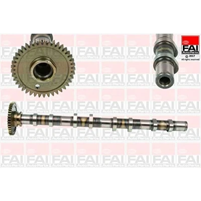 Afbeelding van FAI AutoParts C382 Nokkenas BMW: 3 Touring