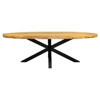 Afbeelding van Eetkamertafel industrieel Eettafel Sanne mangohout 300 cm