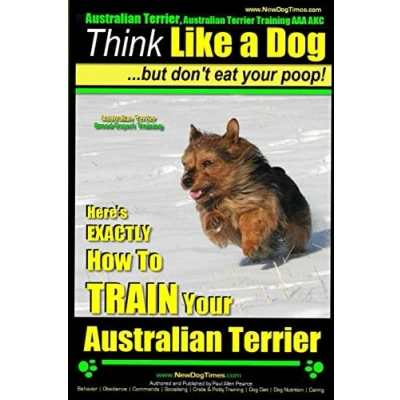 Afbeelding van Australian Terrier Training