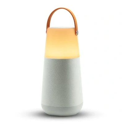 Afbeelding van ION Audio Bright Max draagbare en waterdichte 360 bluetooth luidspreker met verlichting, sfeergeluiden, multi sync technologie oplaadbare batterij