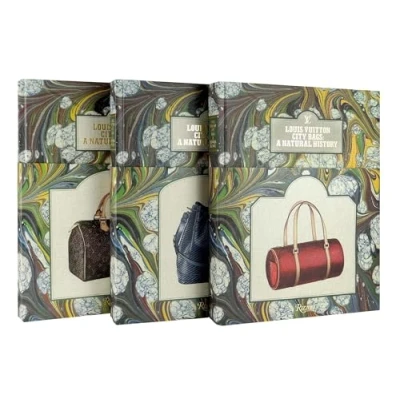 Afbeelding van Louis Vuitton City Bags