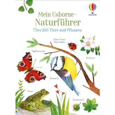 Afbeelding van Fichiers de Lecture Fichier 1.2 CP Livret Pédagogique