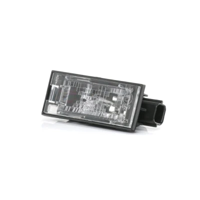 Afbeelding van TYC 15 0221 00 2 Kentekenverlichting W5W Aan beide zijden Met gloeilamp RENAULT: MEGANE 3 Grandtour, Kombi, Kangoo II / Grand
