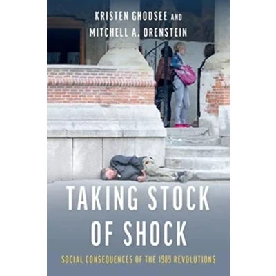 Afbeelding van Taking Stock of Shock