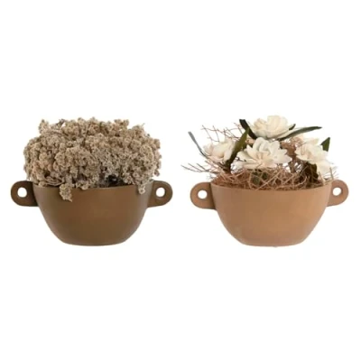 Afbeelding van Decoratieve plant Home ESPRIT Bloem 22 x 14 cm (2 Stuks)